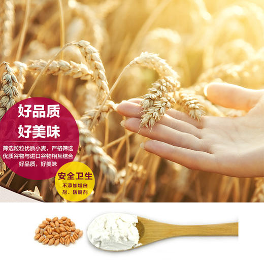 今粮道有机石磨面粉 见面有礼面条包子馒头饺子粉 含麦麸 全麦粉 天然小麦粉 2.5kg 商品图6