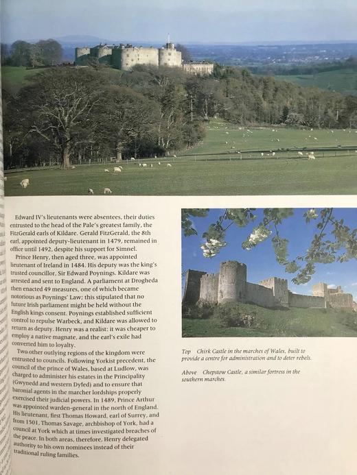 都铎编年史：国王们 数百幅插图 精装大16开 商品图13