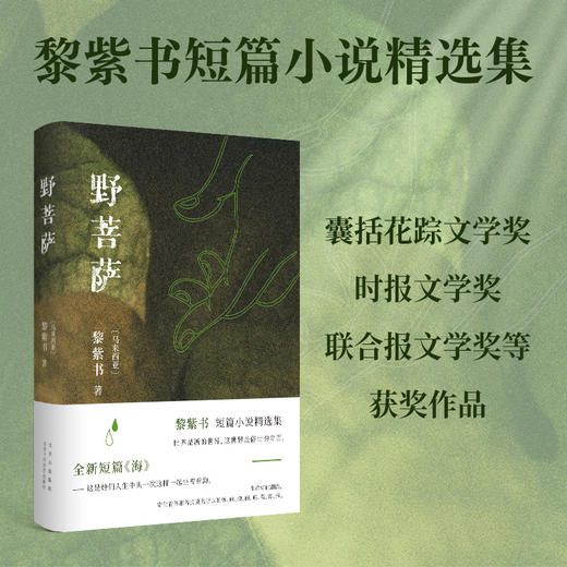 野菩萨 商品图1