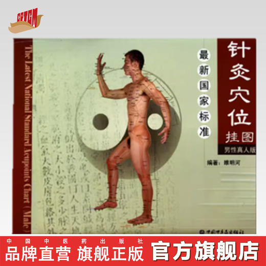 最新国家标准针灸穴位挂图（男性真人版）睢明河 编著 中国中医药出版社 商品图0
