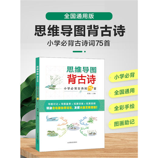 思维导图 背古诗 商品图1