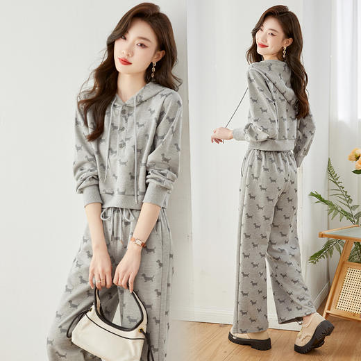 秋季新款，时尚洋气休闲卫衣+直筒阔腿运动裤两件套HR-SSFB2781 商品图3