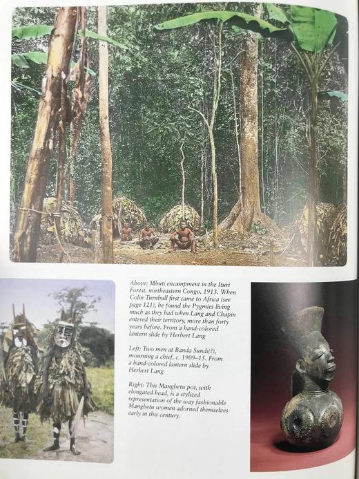 美国自然历史博物馆：125年探险与发现 248幅插图（90幅彩色） 精装大16开 商品图7