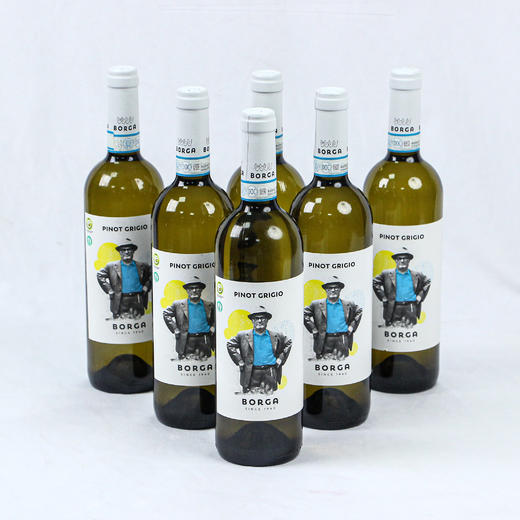 意大利进口  灰皮诺白葡萄酒 商品图4