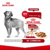 皇家狗狗湿粮包肉粒幼犬慕斯奶糕泰迪金毛萨摩耶主食罐拌饭狗零食 商品缩略图3