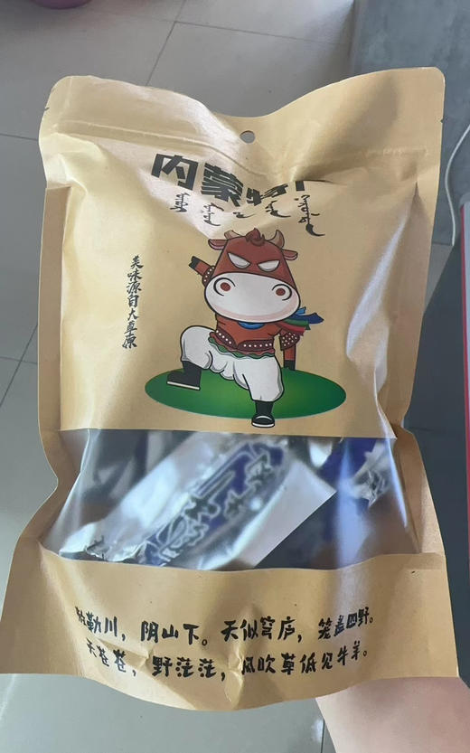 草原伴手礼，内蒙炭烤牛肉干500g 商品图0
