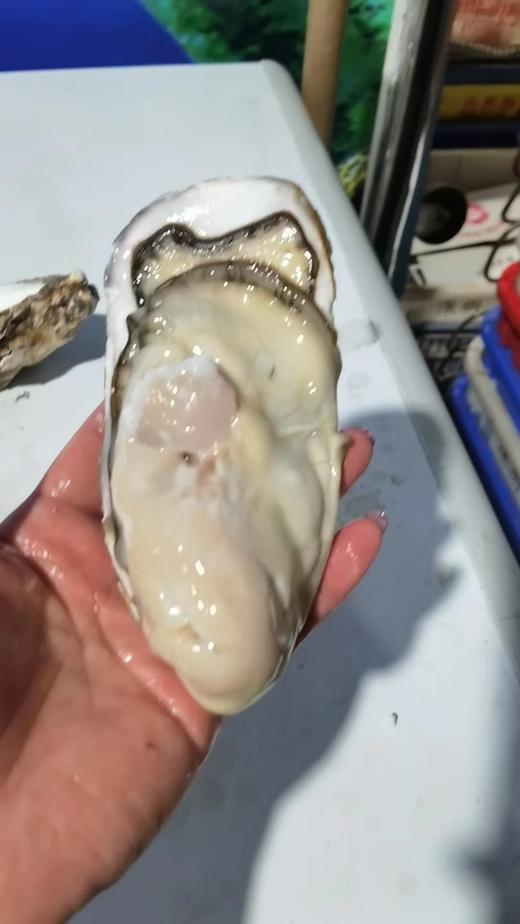正宗乳山生蚝营养美味鲜嫩肥美味 商品图3