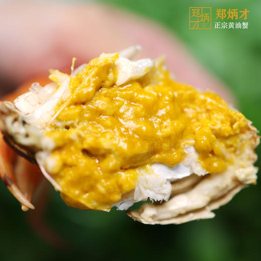 郑炳才有机黄油腌蟹 南沙地标产品 顺丰配送 6只/箱 商品图1