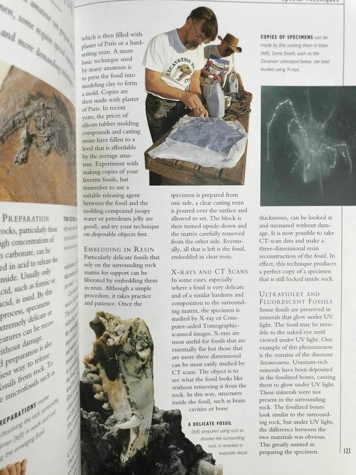 岩石，化石与恐龙自然指南 千余幅彩色插图 精装16开 商品图9