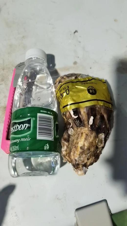 正宗乳山生蚝营养美味鲜嫩肥美味 商品图2