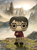 Funko POP Harry Potter 哈利波特魔法石手办摆件 57366 商品缩略图2