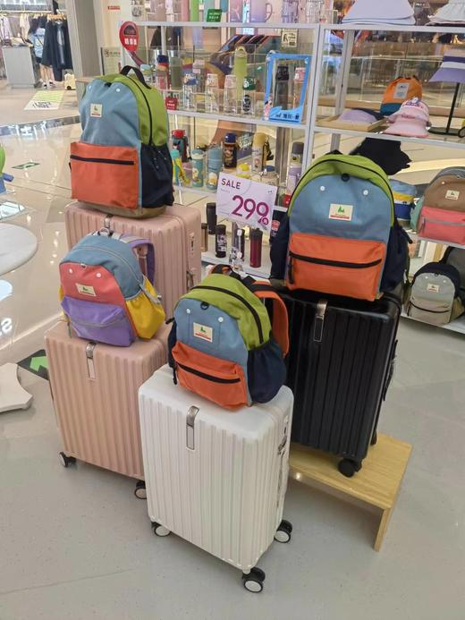 ins时尚轻便拉杆箱学生行李箱简约清新登机箱万向轮密码箱 商品图7