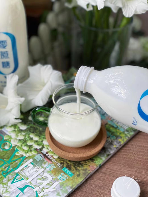 零蔗糖，更纯净！源自天山牧场【马三三0蔗糖酸奶】 生牛乳发酵 低温酸奶 采用保加利亚乳杆菌、嗜热链球菌 商品图9