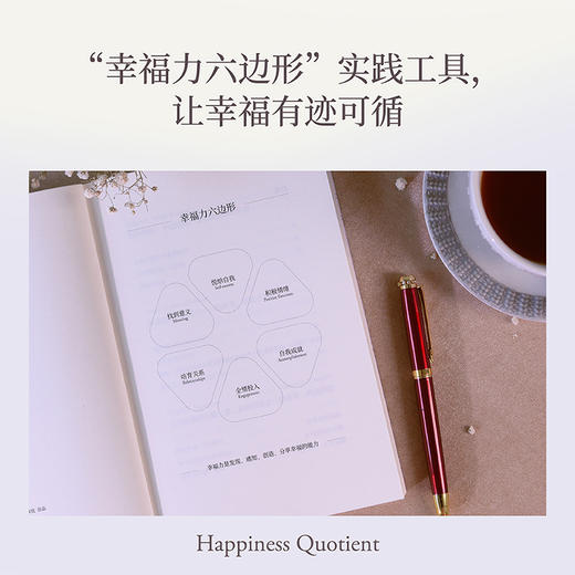 幸福力（杨澜重磅新书，习得幸福的能力，创造你的海阔天空 一本可以改善认知，真正实践的幸福提案） 商品图3
