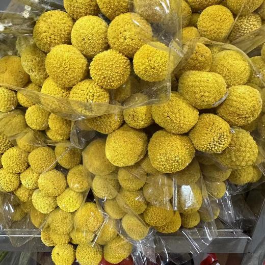 国产花材-永生【黄金球】 商品图6