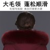 DD-景飒岚特专柜大毛领加厚加长款加肥加大码羽绒服 商品缩略图7