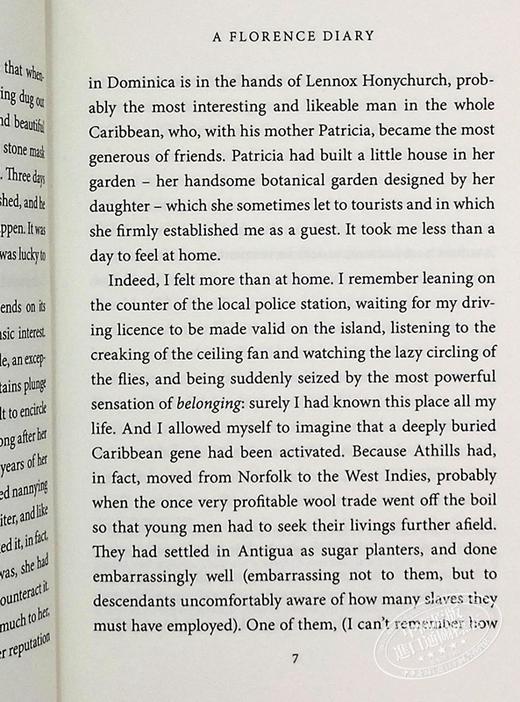 【中商原版】戴安娜 阿西尔 佛罗伦萨日记 A Florence Diary 英文原版 Diana Athill 旅游度假日记 商品图7