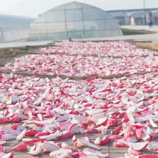 严家湾 青 红 萝卜干 550g 商品图4