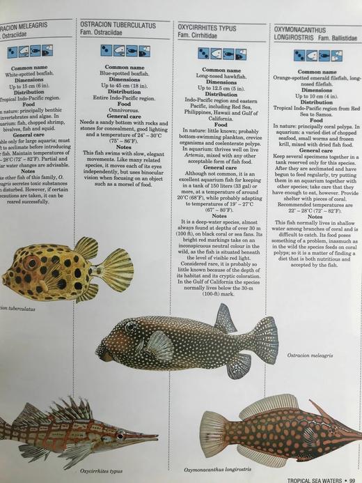 观赏鱼类百科全书 数百幅彩色插图 精装大16开 商品图11