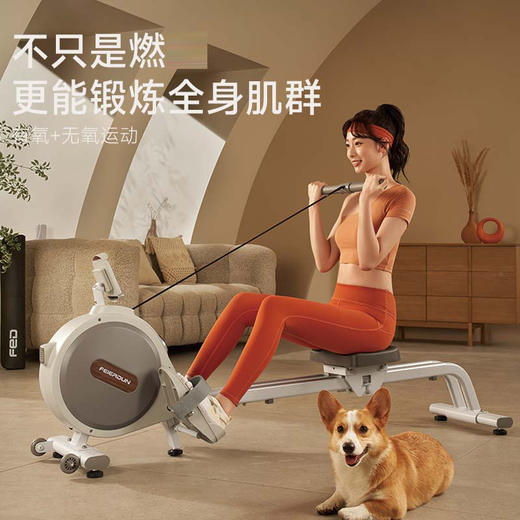 【划1圈相当于跑2圈】FED飞尔顿智能磁阻划船机 有氧+无氧塑形 锻炼全身肌群 超燃 还可一秒站立 仅占0.3平 便捷收纳不费力 商品图2