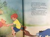小熊维尼历险记 约50幅彩色插图 精装大16开 商品缩略图10