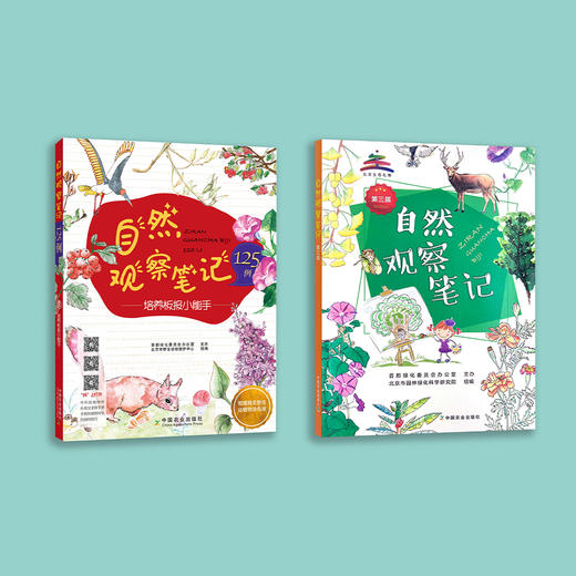 《自然观察笔记（第三届）》《自然观察笔记125例——培养板报小能手》（共2册） 商品图11