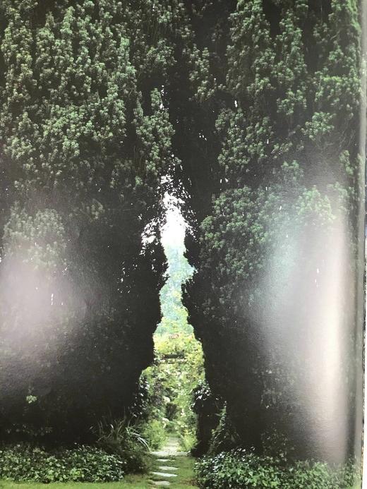 艺术家的花园：从莫奈到巴特利特 132幅彩色插图 精装大16开 商品图12