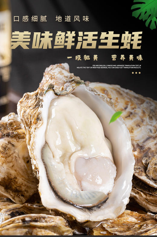 正宗乳山生蚝营养美味鲜嫩肥美味 商品图12