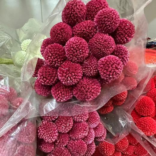 国产花材-永生【黄金球】 商品图4