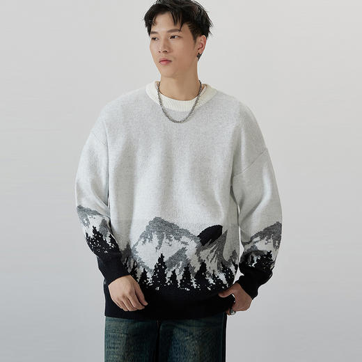 【圈】【新款DQ】大依优型大码针织衫毛衣加肥加大长袖高弹力休闲宽松版提花上衣内搭潮款 商品图0