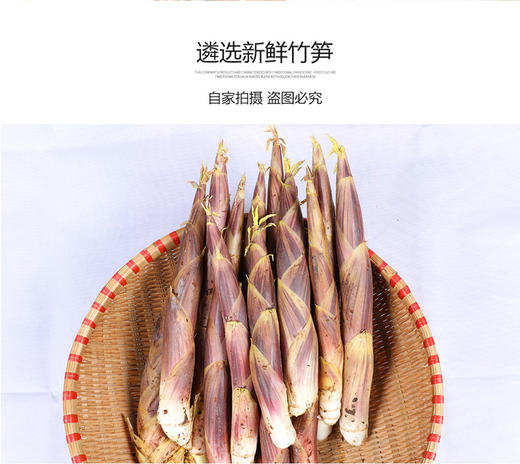 宁波奉化特色油焖笋 国家地理标志产品 精选新鲜、短壮竹笋 商品图10