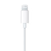 Apple/苹果 EarPods 闪电/Lightning有线耳机 苹果耳机有线耳机原装耳机 适用闪电接口的手机平板 /数码 /影音娱乐 /有线耳机 商品缩略图1