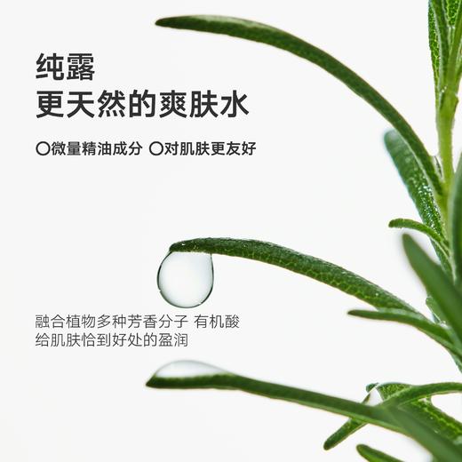 马鞭草酮迷迭香马迷纯露丨补水控油 改善闭口 疏通毛孔 商品图7