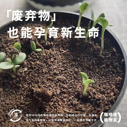 【定制产品不零售】Zhalabo咖啡渣花盆环保种植小盆栽绿植桌面办公室创意礼品 商品图3