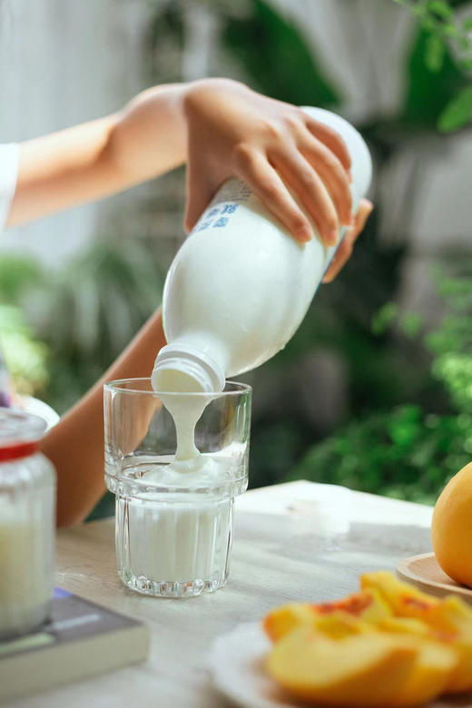 零蔗糖，更纯净！源自天山牧场【马三三0蔗糖酸奶】 生牛乳发酵 低温酸奶 采用保加利亚乳杆菌、嗜热链球菌 商品图8
