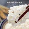 丰谷百味 五常大米长粒香 5kg 商品缩略图3