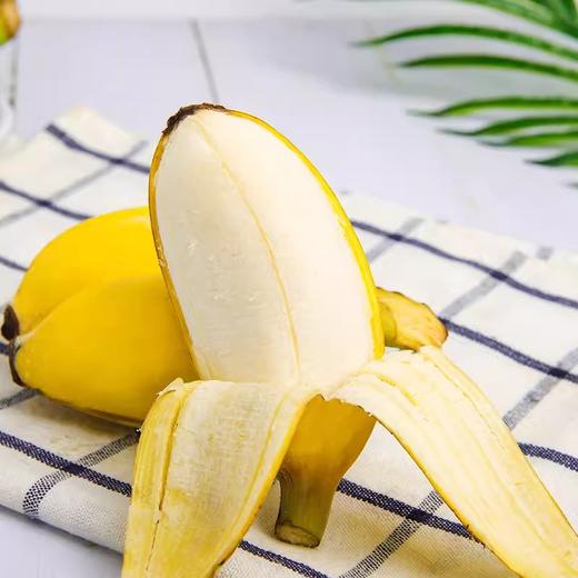 新鲜水果 海南苹果香蕉500g/份 商品图1