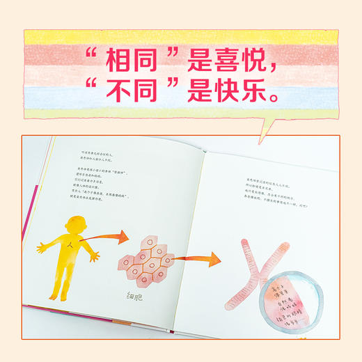 诺贝尔科学馆：小爱的秘密（精装） 商品图5