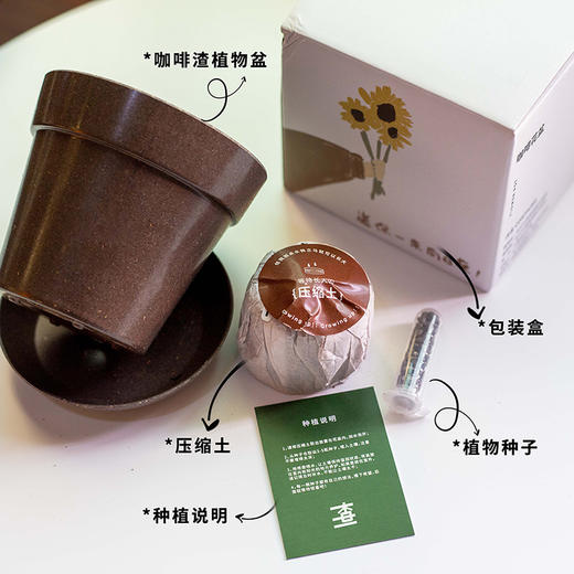 【定制产品不零售】Zhalabo咖啡渣花盆环保种植小盆栽绿植桌面办公室创意礼品 商品图2