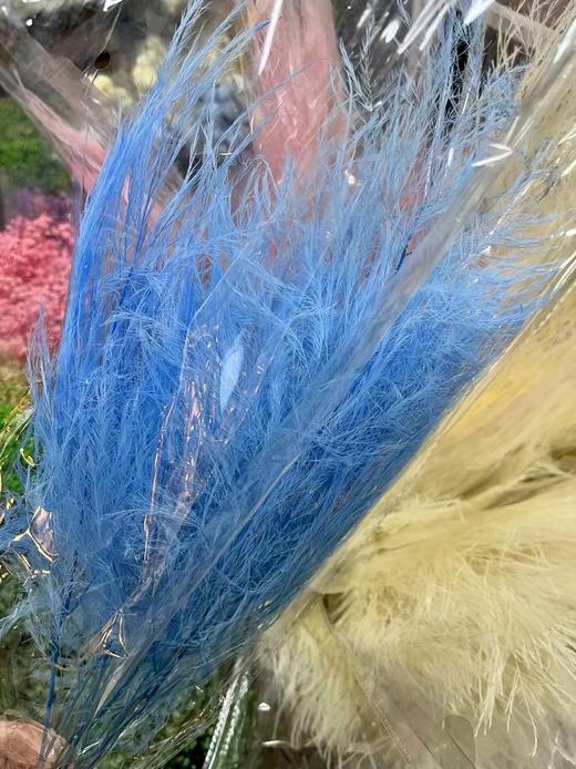 国产花材-永生【石草】 商品图3