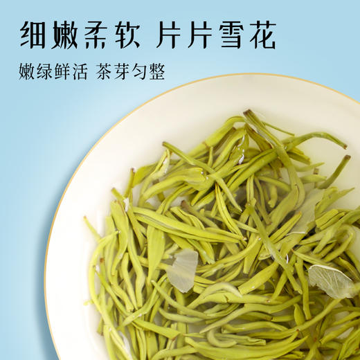 茶叶 龙芽大师 素茗飘雪 茉莉花茶 2024新茶 伴手礼盒 川茶集团 匠心 茶饮 100g 商品图4