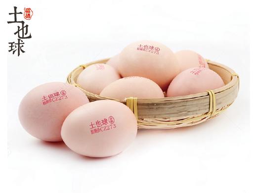 有机富硒跑山鸡蛋鲜鸡蛋30枚 商品图0