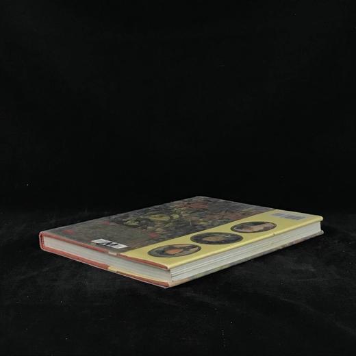 都铎编年史：国王们 数百幅插图 精装大16开 商品图2