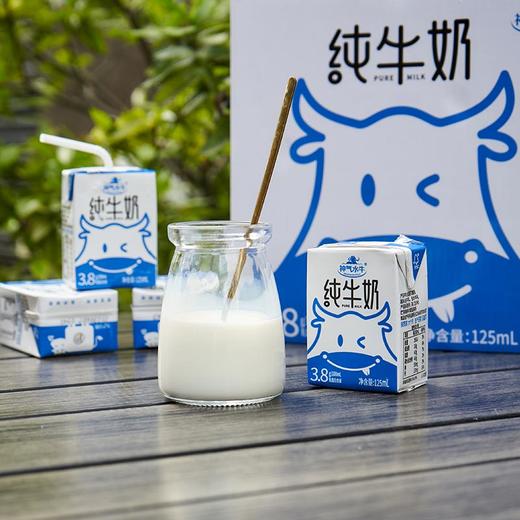 【神气水牛牛奶】清甜好喝的水牛奶  69.9元到手2箱（200ml*10g盒/箱） 3月11生产 保质期6个月 商品图8