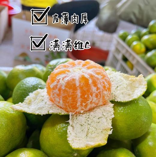 【一口爆汁】赣南寻乌蜜橘 蜜桔 商品图5
