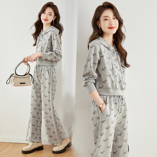 秋季新款，时尚洋气休闲卫衣+直筒阔腿运动裤两件套HR-SSFB2781 商品图1