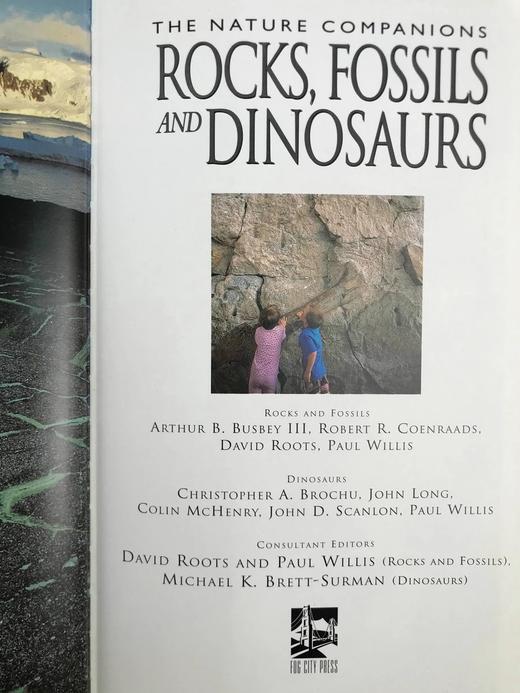 岩石，化石与恐龙自然指南 千余幅彩色插图 精装16开 商品图3