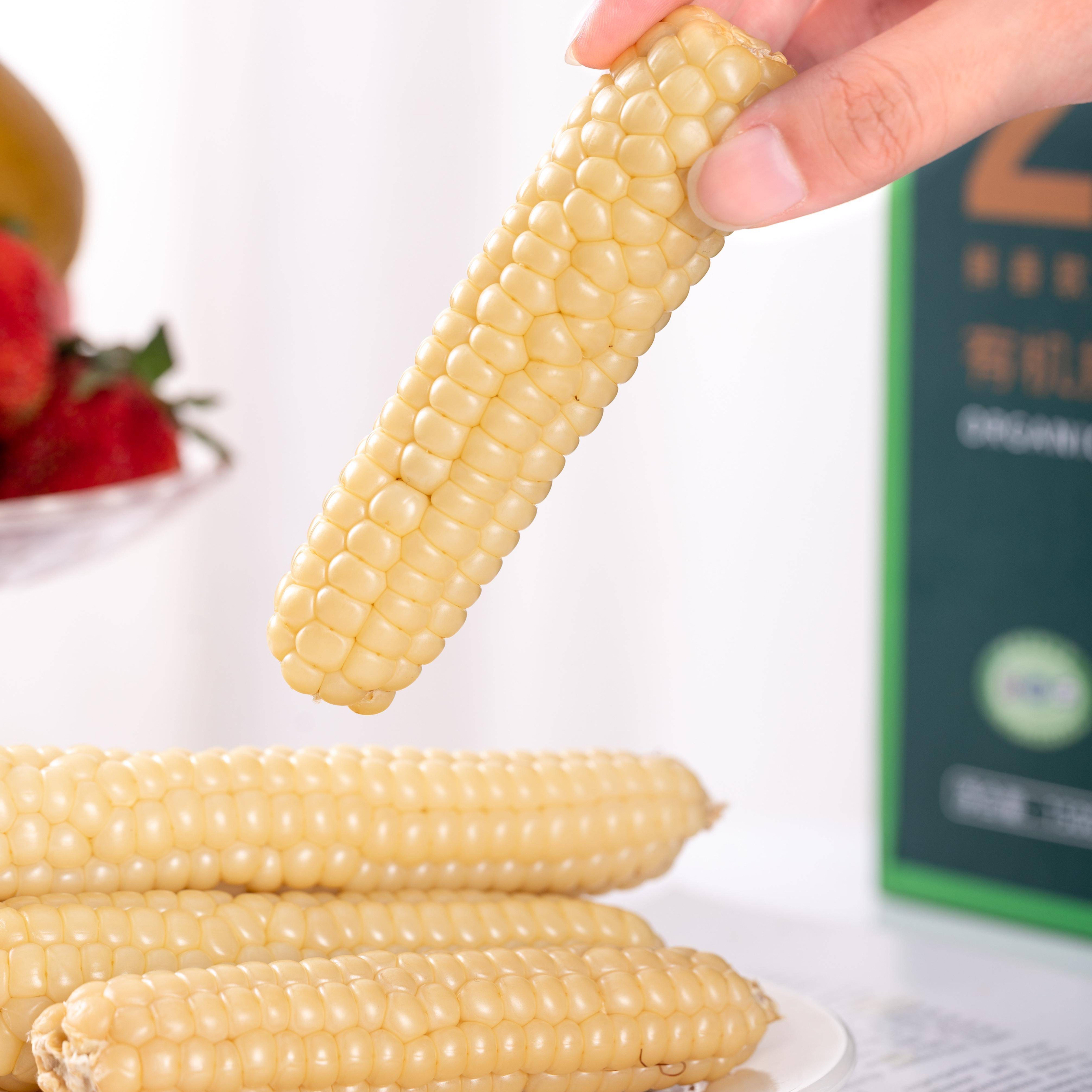 云南 有机版纳拇指小玉米 非转基因 吃得放心