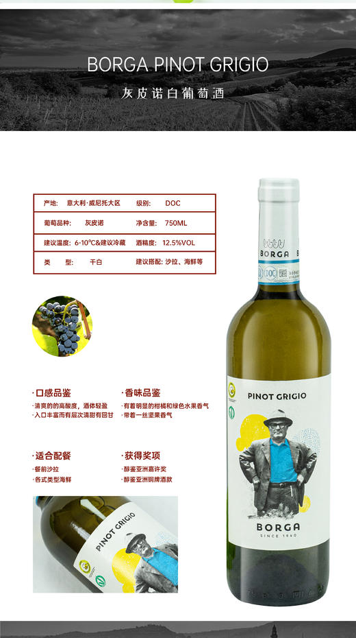 意大利进口  灰皮诺白葡萄酒 商品图5