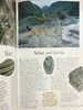 岩石，化石与恐龙自然指南 千余幅彩色插图 精装16开 商品缩略图8